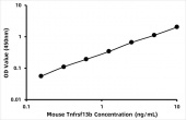 Mouse Tumor necrosis factor receptor superfamily member 13B (Tnfrsf13b) ELISA Kit (RK08480)