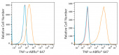 ABflo® 647 Rabbit anti-Human TNF-α mAb (A22782)