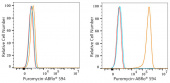 ABflo® 594 Rabbit anti-Puromycin mAb (A24258)
