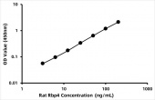 Rat Retinol-binding protein 4 (Rbp4) ELISA Kit (RK07425)