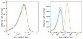 ABflo® 647 Rabbit anti-Human AXL mAb (A22503)