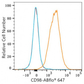 ABflo® 647 Rabbit anti-Mouse CD98 mAb (A23982)