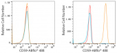 ABflo® 488 Rabbit anti-Human CD59 mAb (A22588)