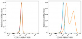 ABflo® 488 Rabbit anti-Mouse CD83 mAb (A23906)
