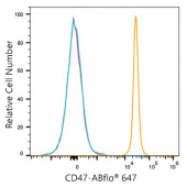 ABflo® 647 Rabbit anti-Mouse CD47 mAb (A24378)