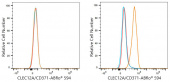 ABflo® 594 Rabbit anti-Human CLEC12A/CD371 mAb (A24581)
