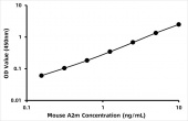 Mouse Alpha-2-Macroglobulin ELISA Kit (a2M) (RK02557)