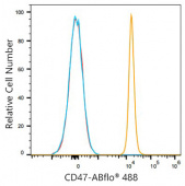 ABflo® 488 Rabbit anti-Mouse CD47 mAb (A24377)