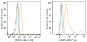 ABflo® 594 Rabbit anti-Human MMP9 mAb (A23734)