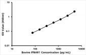 Bovine Interferon alpha/beta receptor 1 (IFNAR1) ELISA Kit (RK08112)
