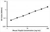 Mouse Transcription factor AP-2-beta (Tfap2b) ELISA Kit (RK06907)