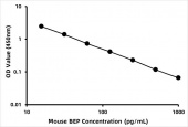 Mouse Beta-Endorphin ELISA Kit (bEP) (RK02632)