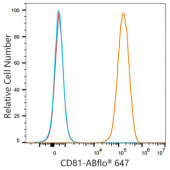 ABflo® 647 Rabbit anti-Mouse CD81 mAb (A23979)