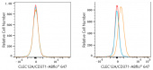 ABflo® 647 Rabbit anti-Human CLEC12A/CD371 mAb (A23106)