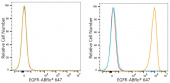 ABflo® 647 Rabbit anti-Human EGFR mAb (A24266)
