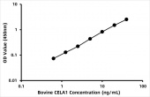 Bovine Chymotrypsin-like elastase family member 1 (CELA1) ELISA Kit (RK08205)