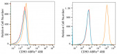 ABflo® 488 Rabbit anti-Human CD90/Thy1 mAb (A22510)