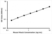 Mouse cAMP-dependent protein kinase catalytic subunit beta (Prkacb) ELISA Kit (RK09016)