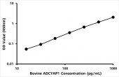 Bovine Pituitary adenylate cyclase-activating polypeptide (ADCYAP1) ELISA Kit (RK08023)