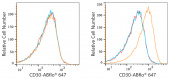 ABflo® 647 Rabbit anti-Human CD30 mAb (A22215)