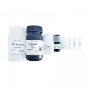SDS-PAGE Gel Preparation Kit for Protein Electrophoresis