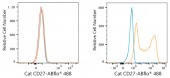 ABflo® 488 Rabbit anti-Cat CD27 mAb (A23171)