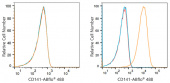 ABflo® 488 Rabbit anti-Human CD141/Thrombomodulin mAb (A22154)