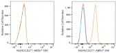 ABflo® 594 Rabbit anti-Human NGFR/CD271 mAb (A23119)