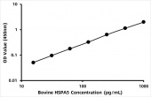 Bovine Endoplasmic reticulum chaperone BiP (BiP/GRP78/HSPA5)  ELISA Kit (RK08320)