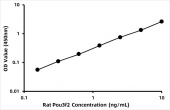 Rat POU domain,  class 3,  transcription factor 2 (Pou3f2/Oct7) ELISA Kit (RK08448)