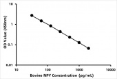 Bovine Pro-neuropeptide Y (NPY) ELISA Kit (RK07392)