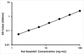Rat Serpin B5 (Serpinb5) ELISA Kit (RK07809)