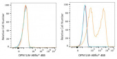 ABflo® 488 Rabbit anti-Human OPN1LW/OPN1MW mAb (A24370)