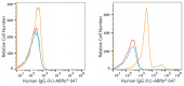 ABflo® 647 Rabbit anti-Human IgG (Fc) mAb (A22505)