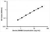 Bovine Inhibin beta B chain (INHBB) ELISA Kit (RK08685)