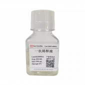 Primary Antibody Diluent