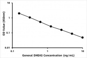General DHEAS (DHEA sulfate) ELISA Kit (RK06838)