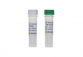 EcoRV (RK21106)