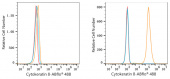 ABflo® 488 Rabbit anti-Human Cytokeratin 8 mAb (A23018)