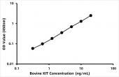 Bovine Mast/stem cell growth factor receptor Kit (c-KIT/KIT) ELISA Kit (RK06249)