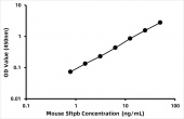 Mouse Surfactant Associated Protein B ELISA Kit (SPB) (RK03207)