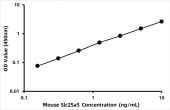 Mouse ADP/ATP translocase 2 (Slc25a5) ELISA Kit (RK06892)