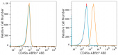 ABflo® 488 Rabbit anti-Human ITGA1/CD49a mAb (A22691)