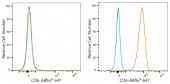 ABflo® 647 Rabbit anti-Human CD6 mAb (A24325)