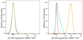 ABflo® 647 Rabbit anti-Human β2 Microglobulin mAb (A24224)