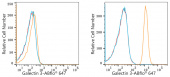 ABflo® 647 Rabbit anti-Human Galectin 3 mAb (A23017)
