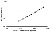 Rat T-cell surface antigen CD2 (Cd2) ELISA Kit (RK08377)