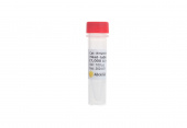 Heat-labile UDG (1, 000 U/mL) (RK20543)
