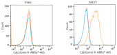 ABflo® 405-conjugated Goat Anti-Mouse IgG (H+L) (AS055)