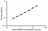 Human A Disintegrin And Metalloprotease 17 ELISA Kit (ADAM17) (RK09166)